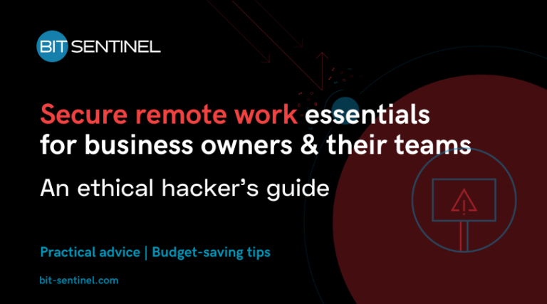 bit sentinel secure remote work guide