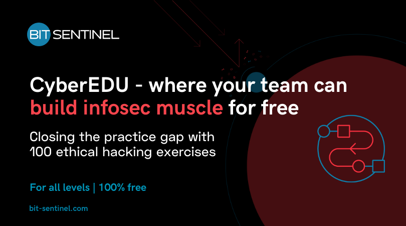 cyberedu cybersecurity practical challenges