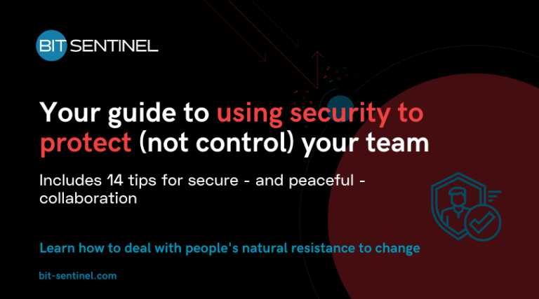 cybersecurity to protect not control business team