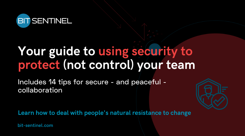 cybersecurity to protect not control business team